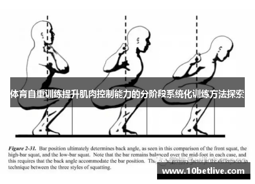体育自重训练提升肌肉控制能力的分阶段系统化训练方法探索